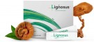 Lignosus • Naturlig kosttilskudd for luftveiene thumbnail