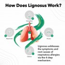Lignosus • Naturlig kosttilskudd for luftveiene thumbnail