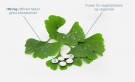 Bio-Biloba (150 kapsler) thumbnail